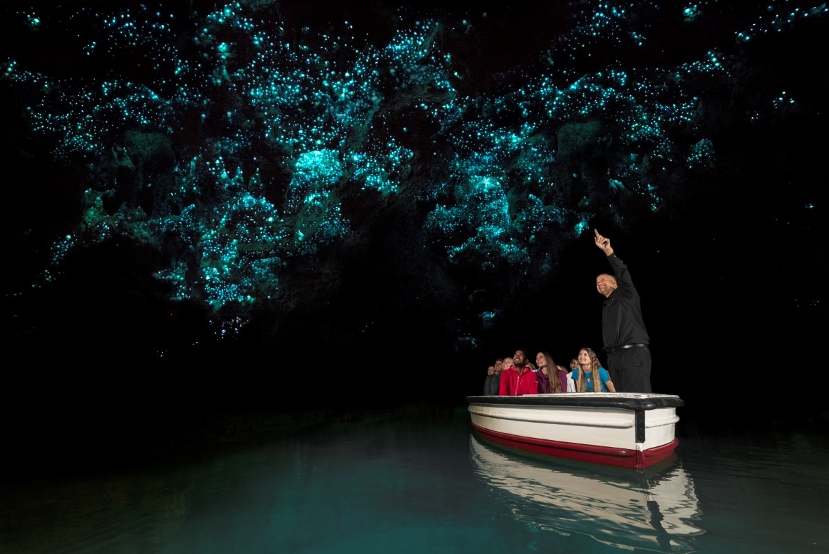Glowworm Caves Te Anau
