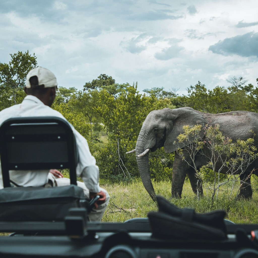 Kruger Nationalpark