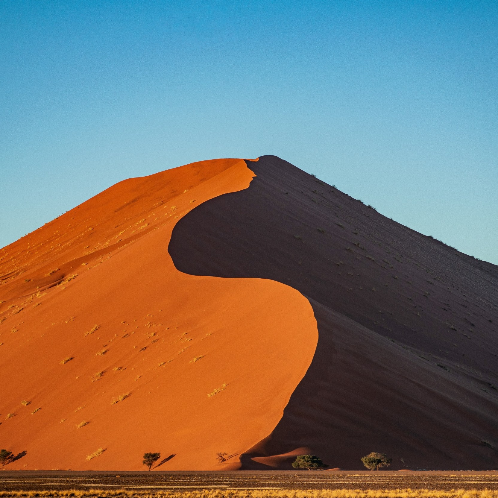 Rote Sanddüne im Namib Naukluft Nationalpark, dramatische Schattenkante vor blauem Himmel in Namibia