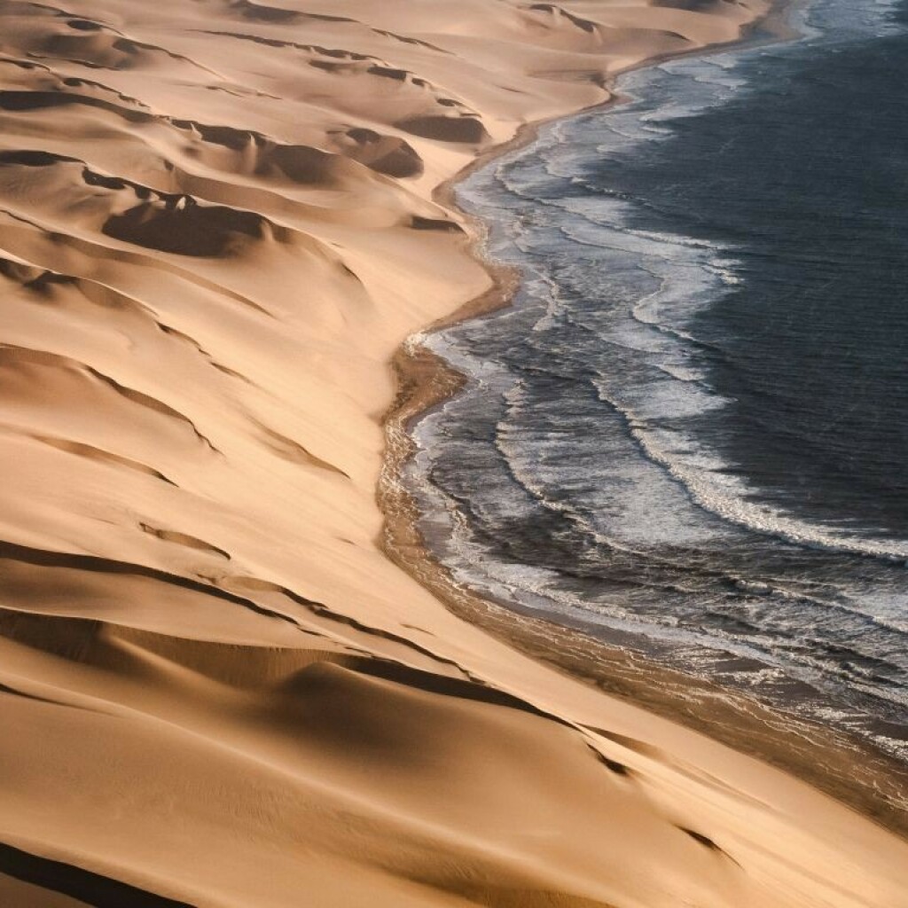 Skelet on Coast Area, Namibia