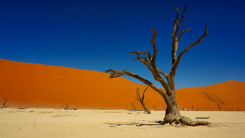 Namibia Rundreise als Gruppenreise im Truck