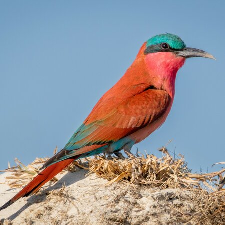 Namibia