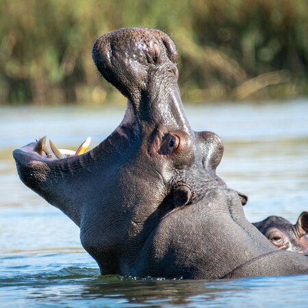 Namibia