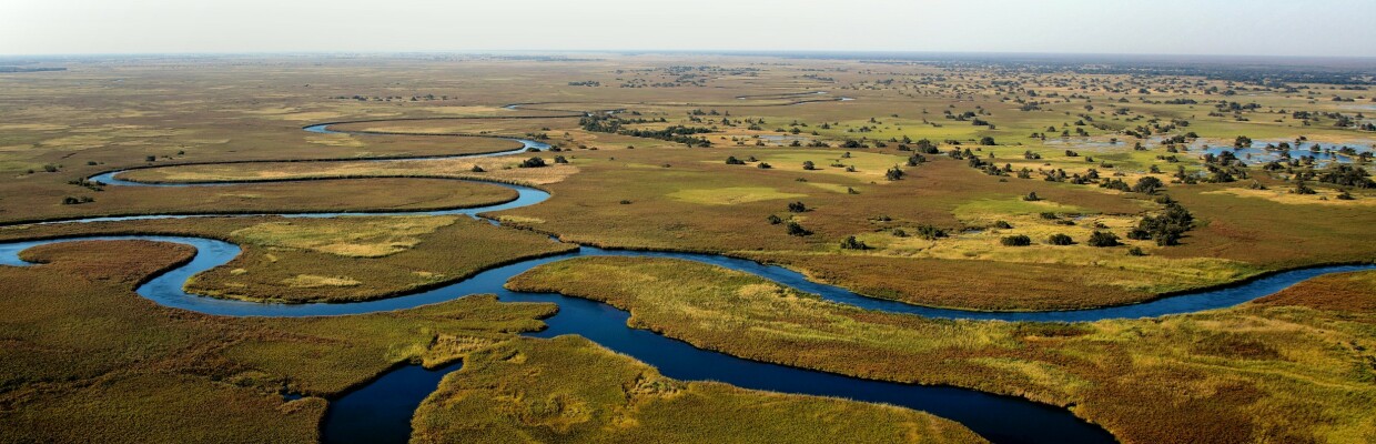 Okavango Delta