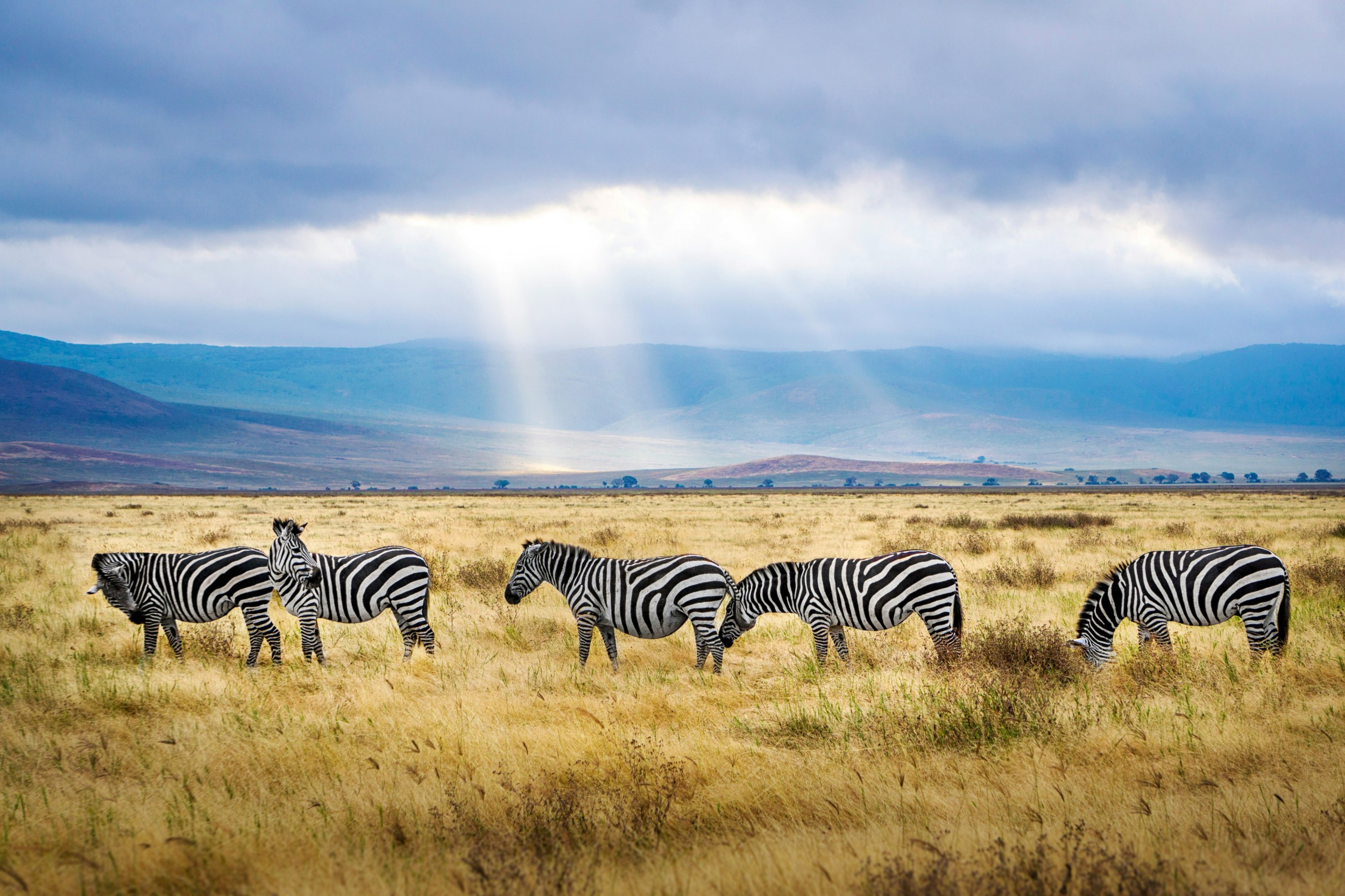Krater von Ngorongoro