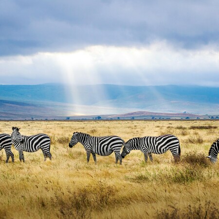 Ostafrika Safari Rundreise: Serengeti bis Victoriafälle