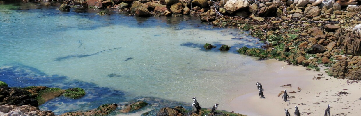 Stony Point Naturreservat