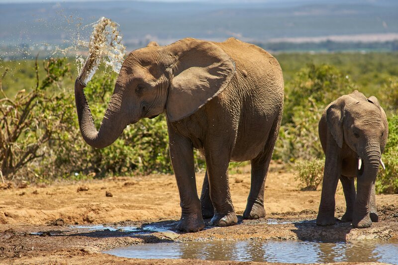 Expedição terrestre Dar es Salaam - Cataratas Vitória
