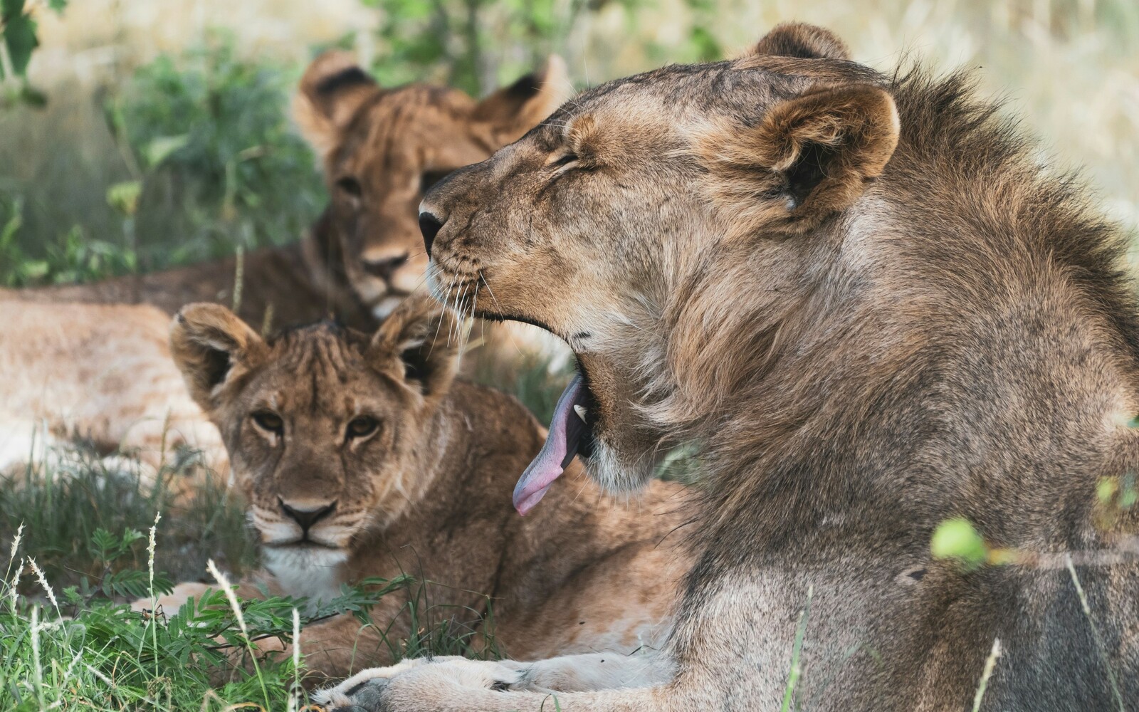 Etosha Nationalpark