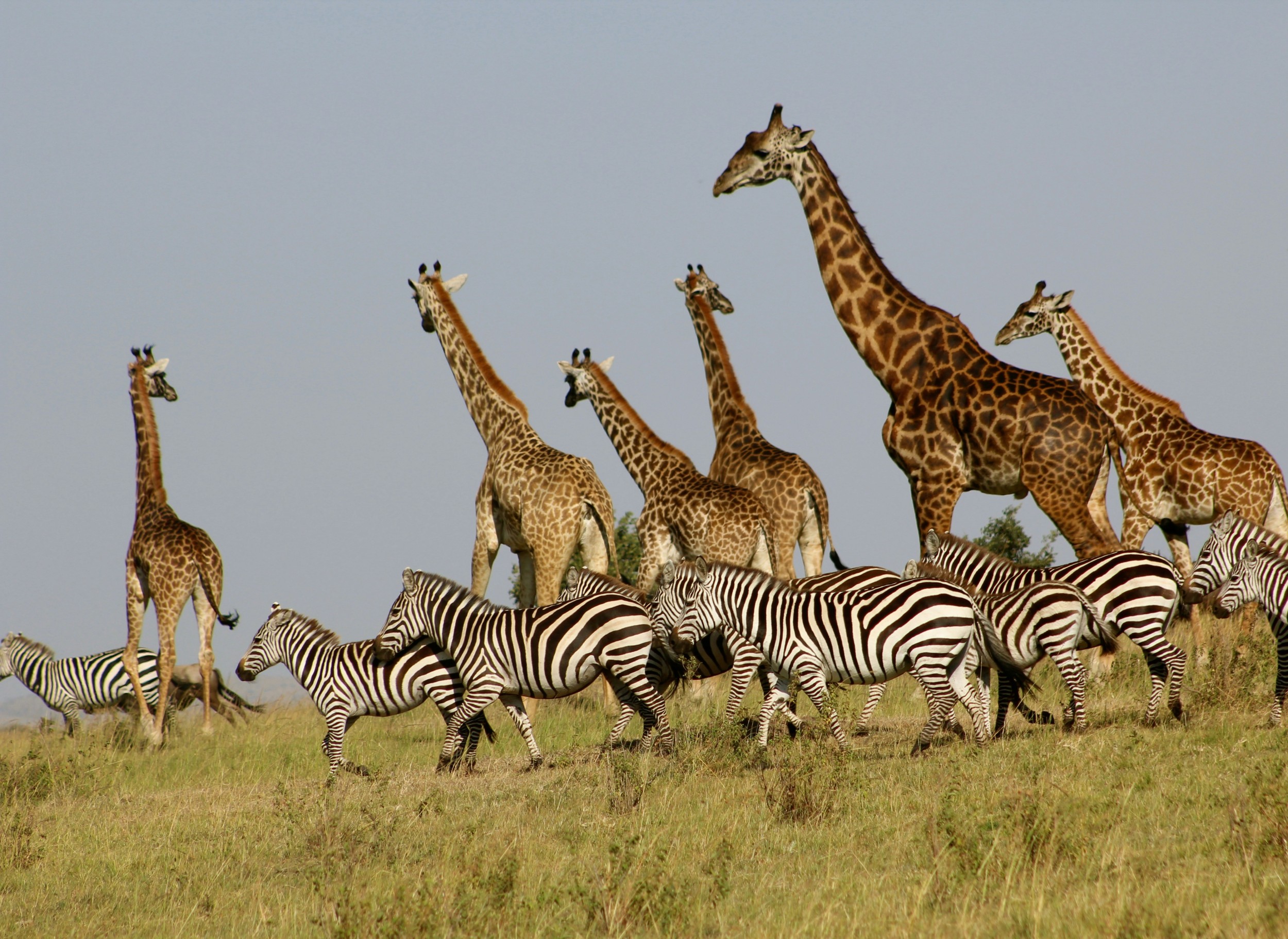 Hwange National Park Perimeter