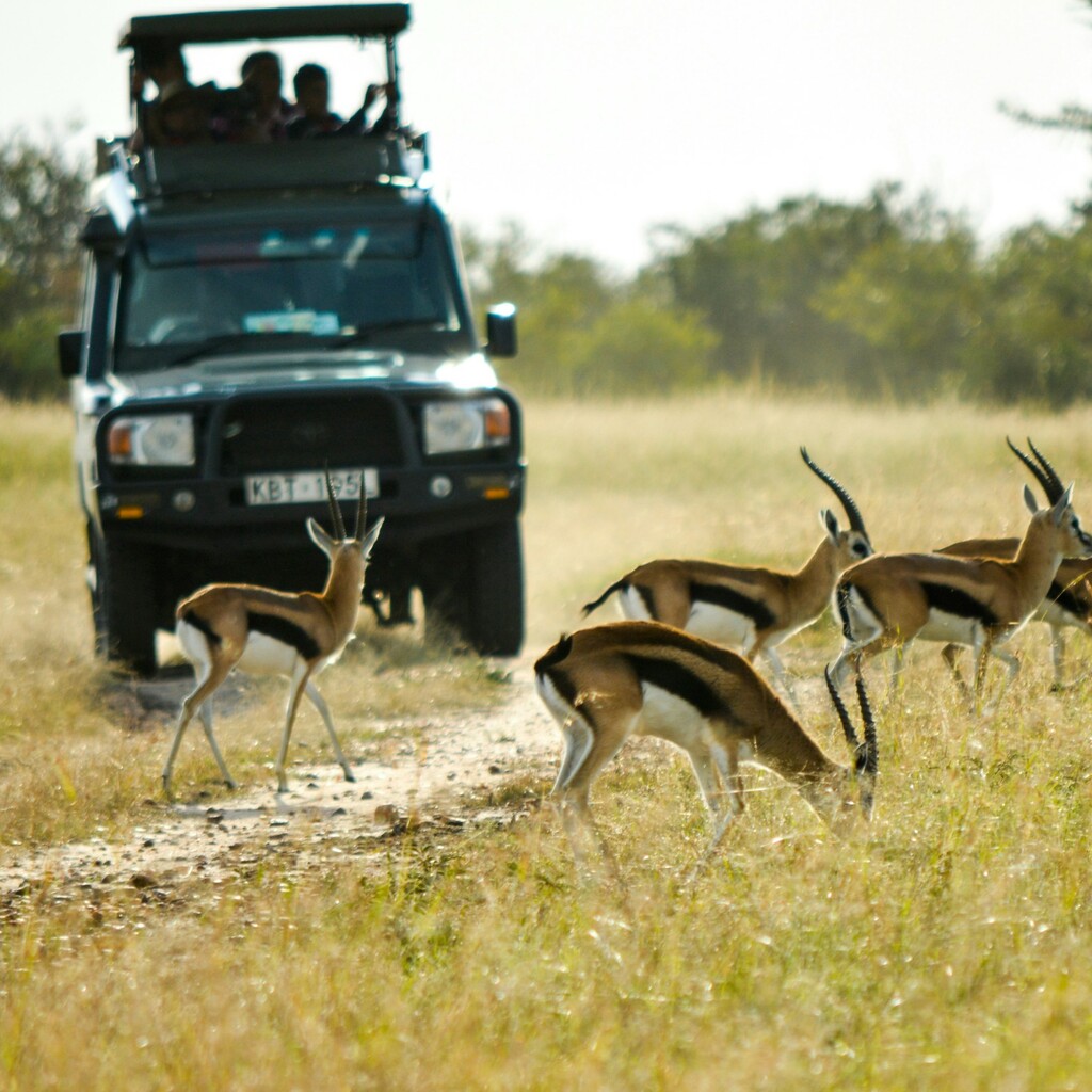 Masai Mara Nationalreservat