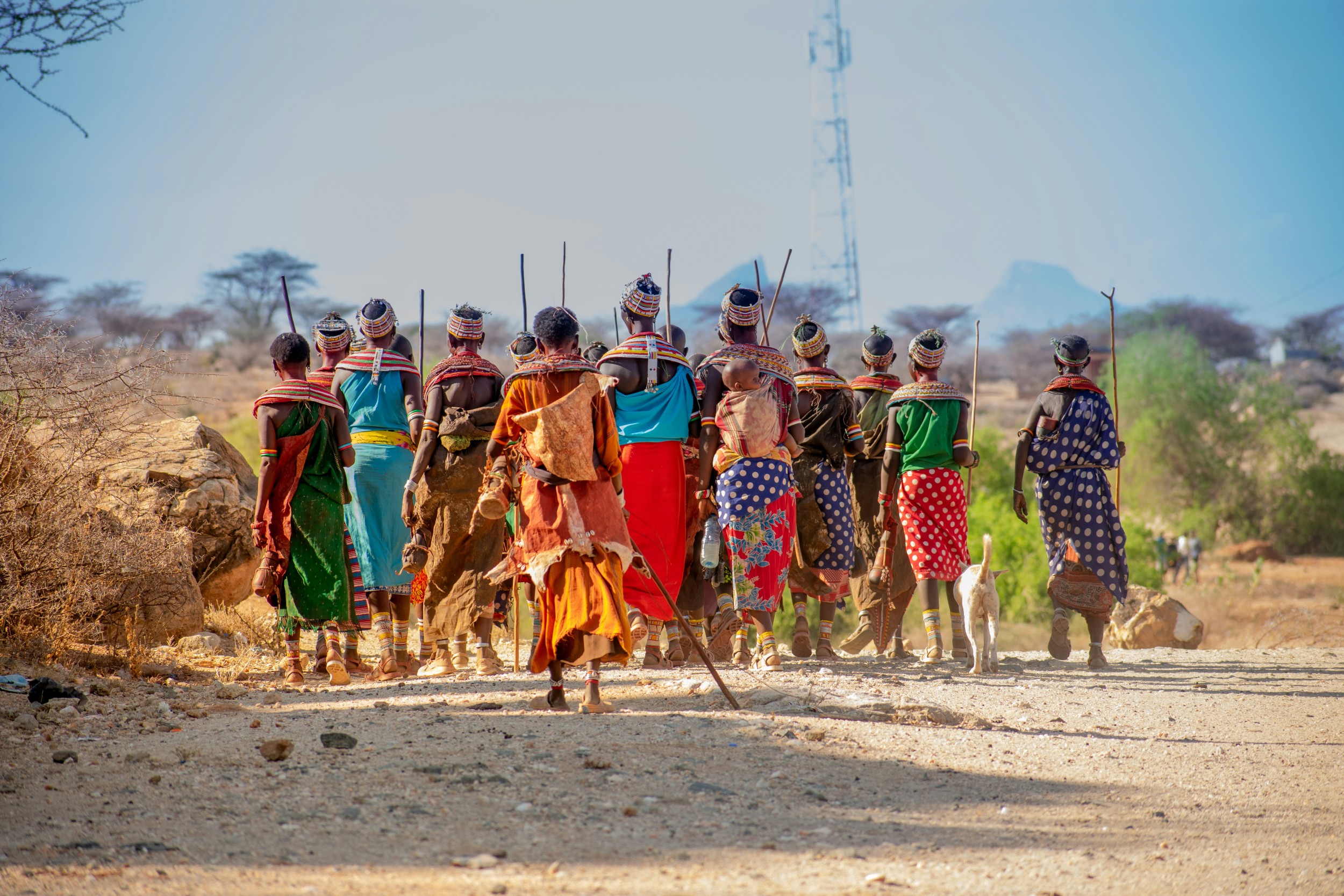 Kenia Safari & Erlebnisreise: Masai Mara, Lodge Safari und Sansibar