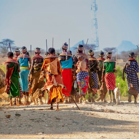 Kenia Safari & Erlebnisreise: Masai Mara, Lodge Safari und Sansibar