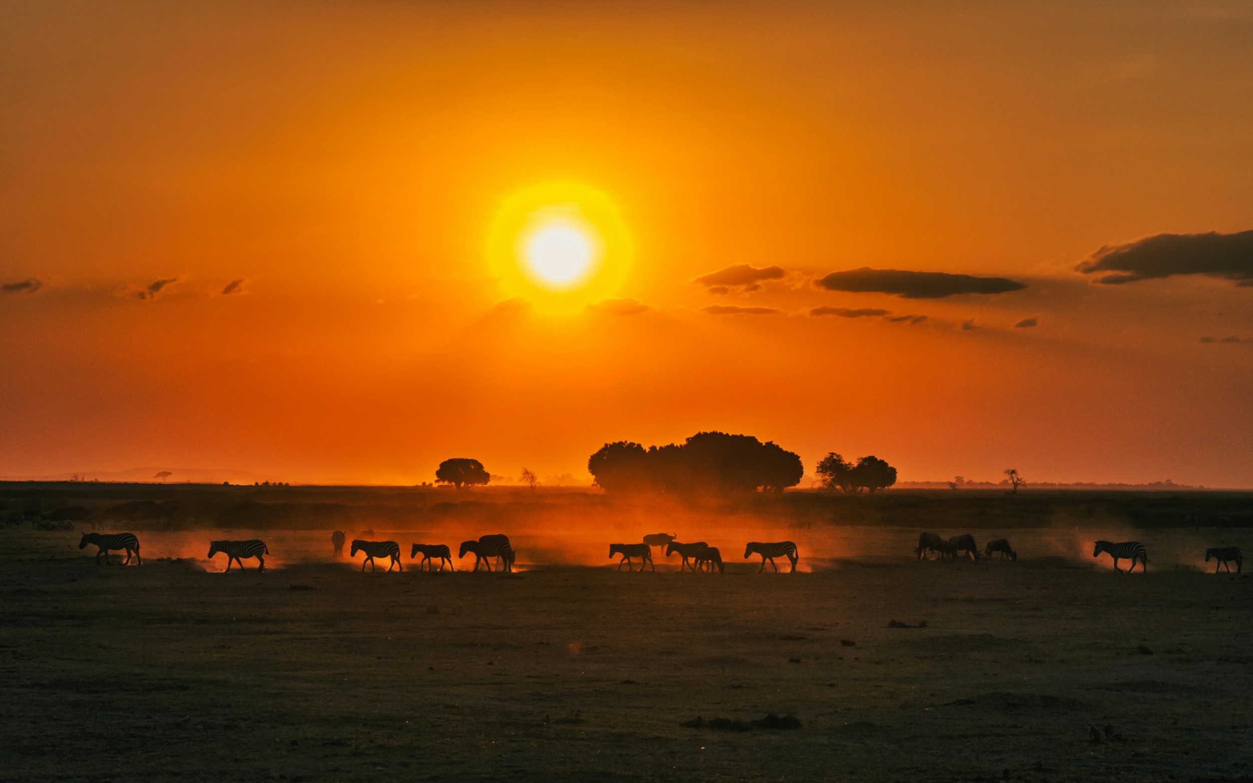 Kenia Safari & Erlebnisreise: Masai Mara, Lodge Safari und Sansibar