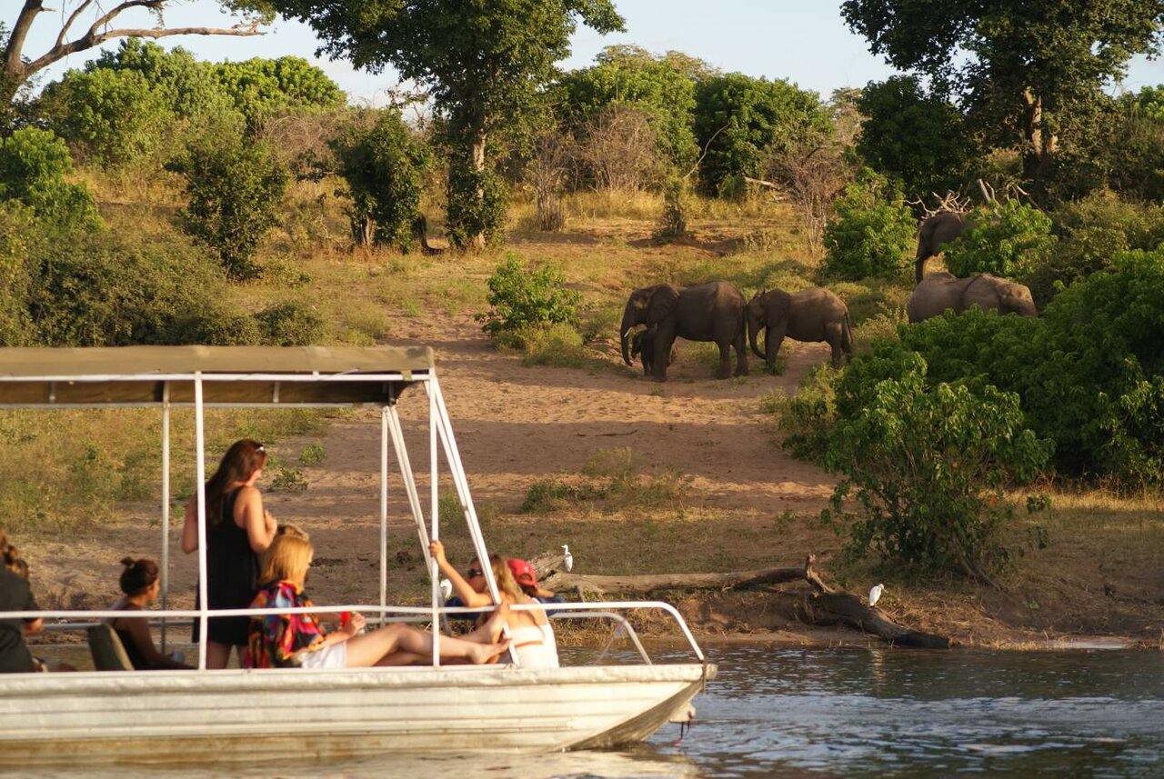 South Africa Safari: Kruger, Garden Route and Cape Town