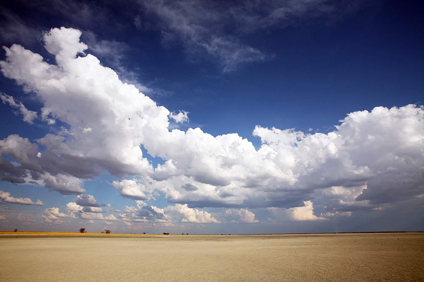 Central Botswana: Flat White Expanses