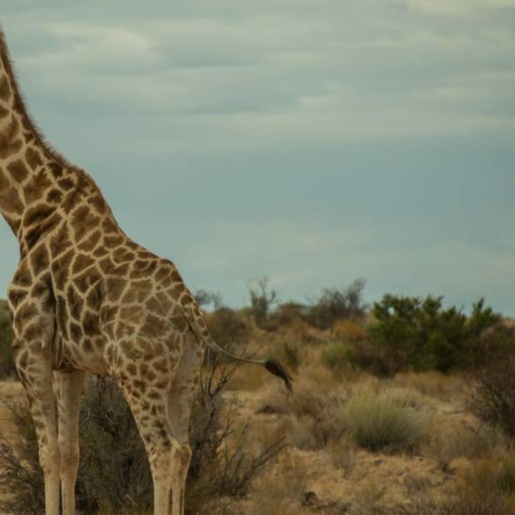 Motorradreisen Afrika Makgadikadi Salzpfannen paradies