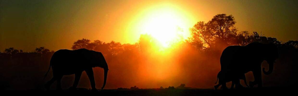 Erlebnis-Reisen Sudafrika, Kalahari-Wüste, Botswana