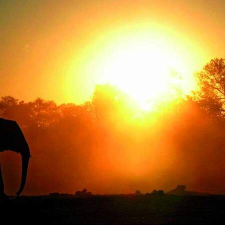 Im Overland Truck klimafreundlich durch Botswana