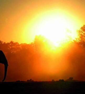 Südafrika Highlight Garden Route - Camping- oder Lodgesafari