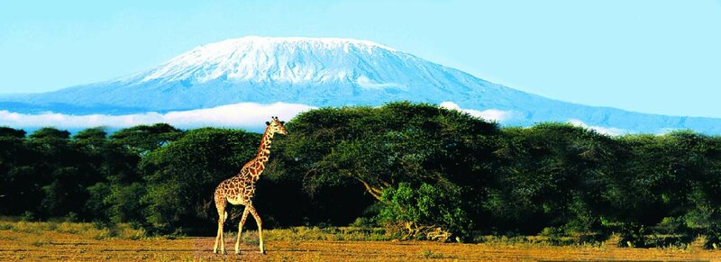 Kilimanjaro beklimming Machame-route (kamperen)