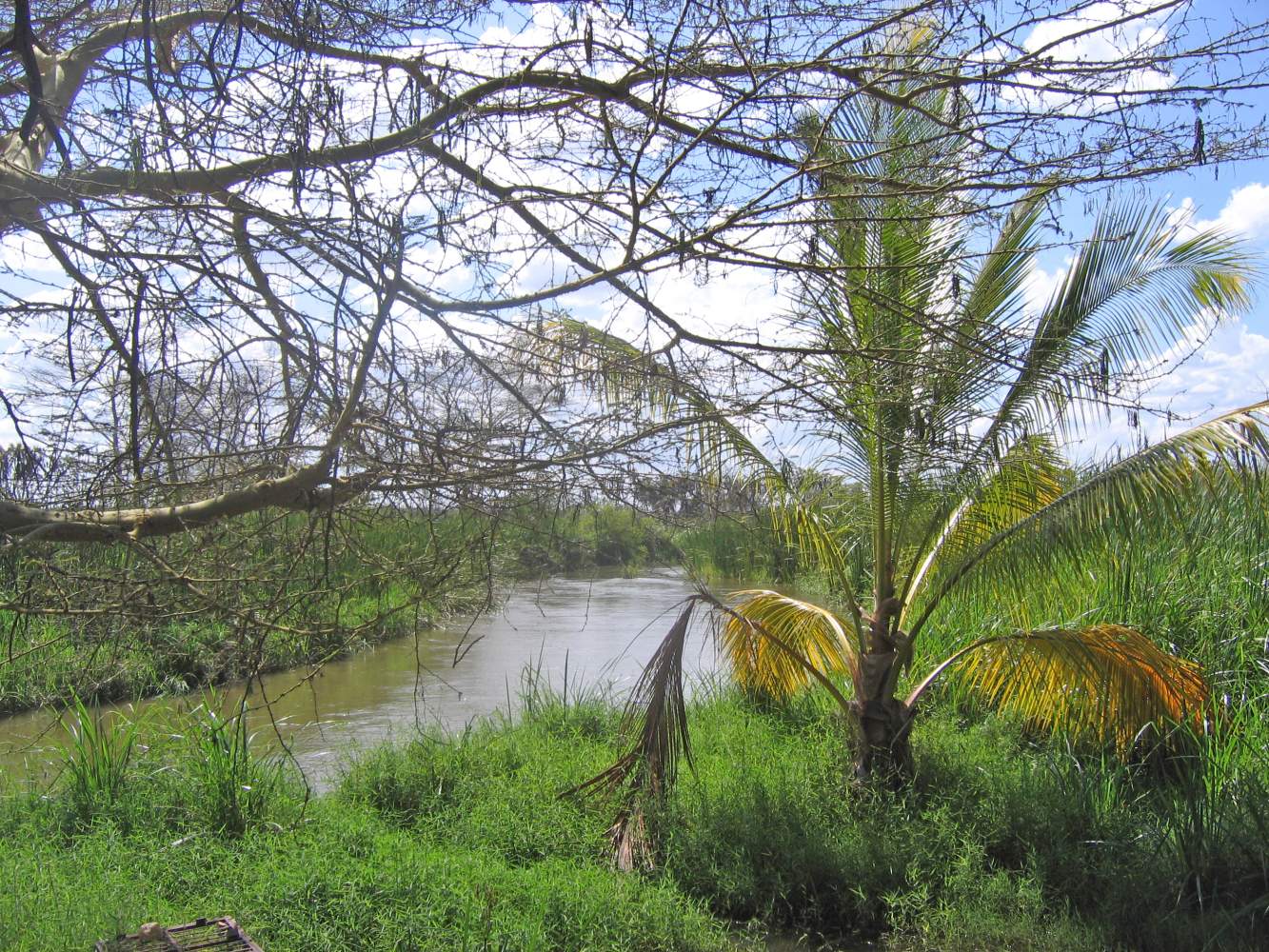 Fluss Wildnis Tansania Motorrad Abenteuer Reise