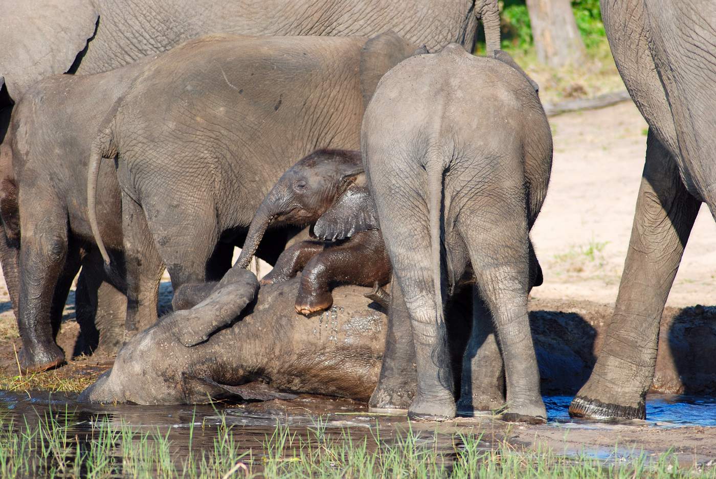 Addo Elephant National Park Südafrika Family Friends Kind Abenteuer Safari