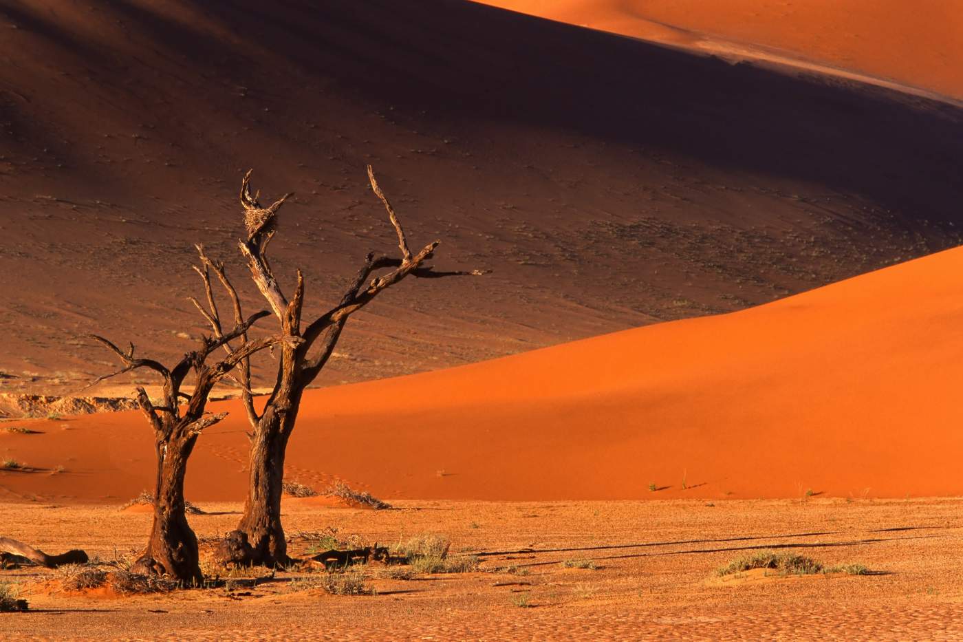Sossusvlei Sanddünen in Namibia
