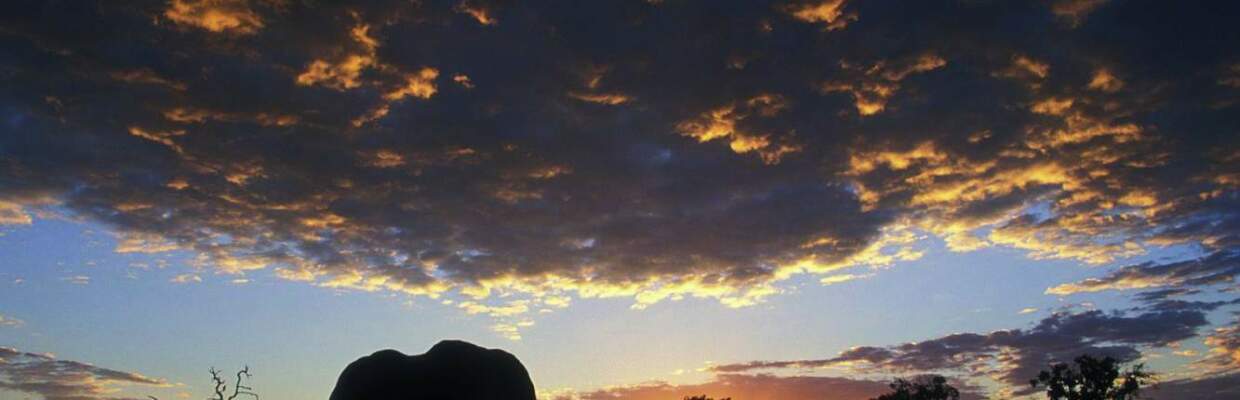 Erlebnis-Reisen Kenia, Okavango-Delta, Botswana