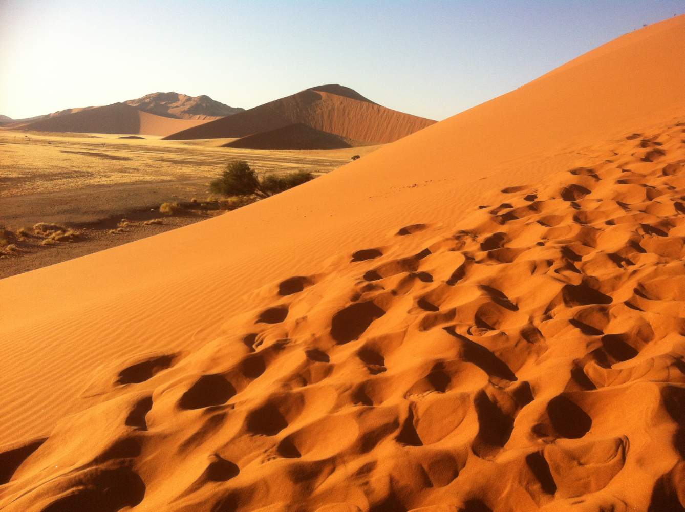 Dünen in der Wüste Namib auf der Rundreise in Namibia