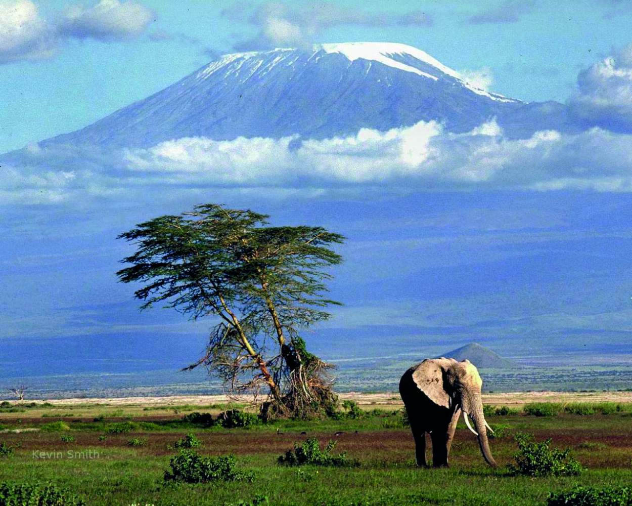 Safari von Tansania Rundreise Nach Kenia mit dem Reiseanbieter overcross