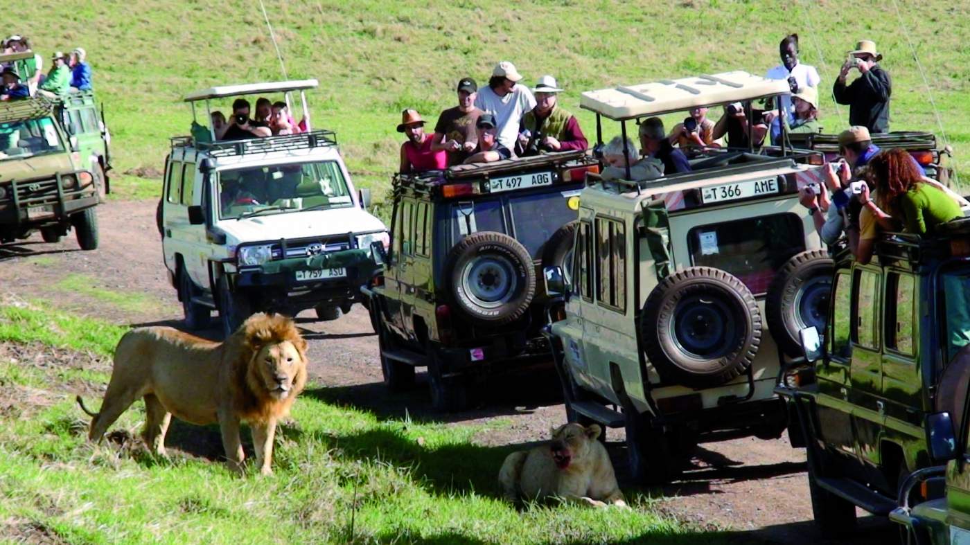  Safari in Overlandtrucks im Serengeti Nationalpark in Tansania