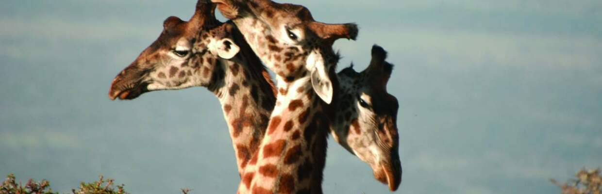 Erlebnis-Reisen Namibia, Fish River Canyon