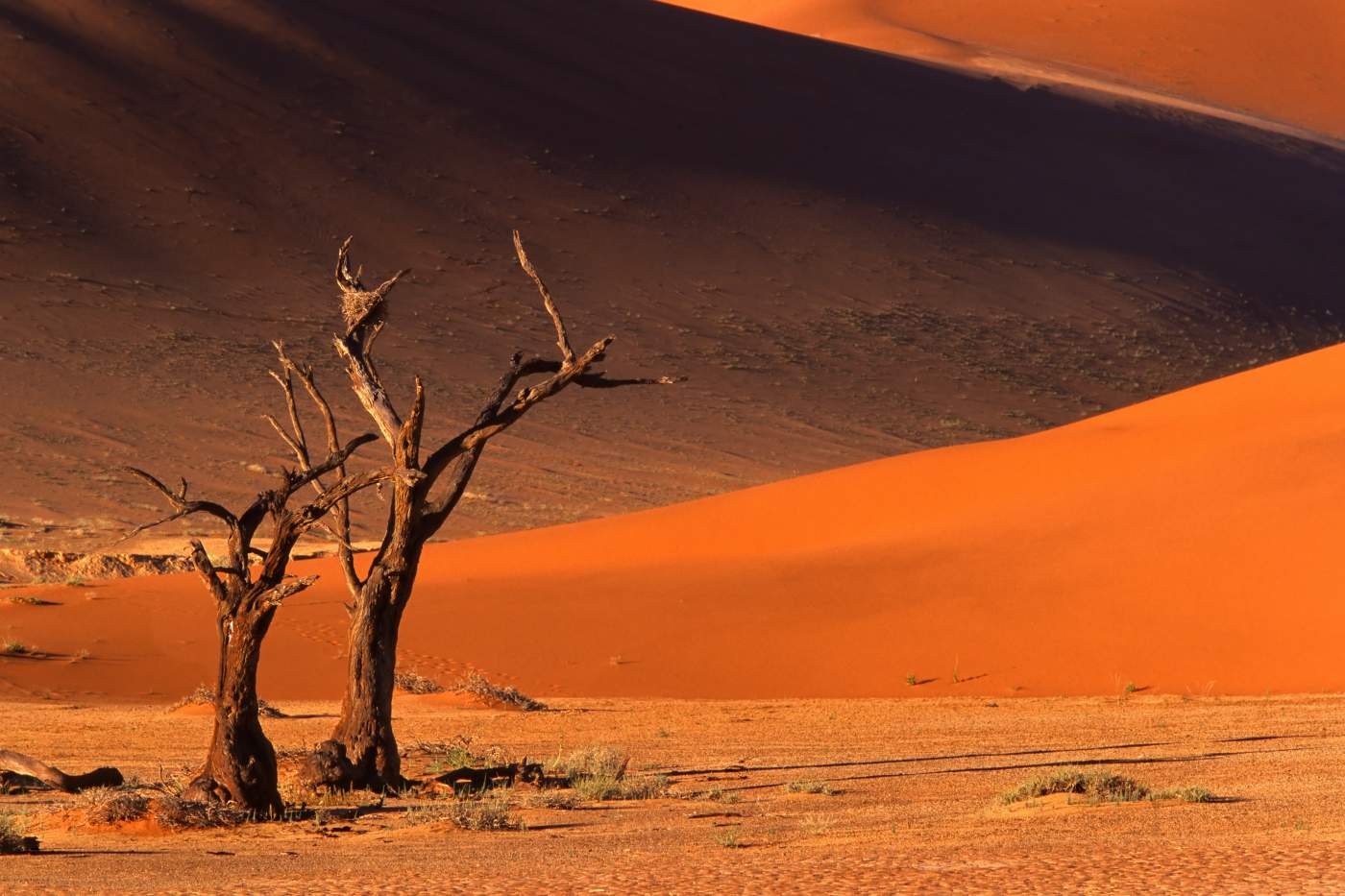 Sossusvlei Dünen auf der Rundreise in Namibia
