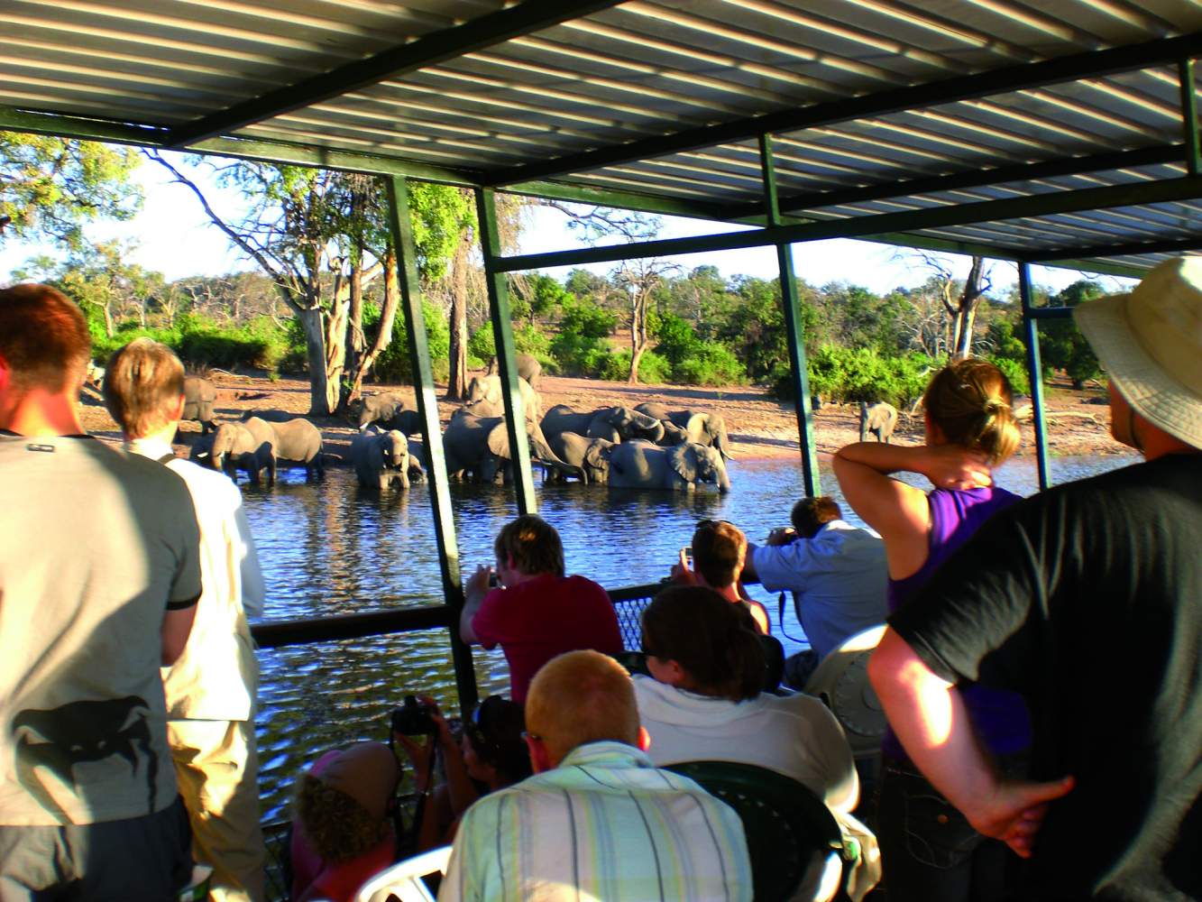 Safari Flussfahrt im Chobe Nationalpark
