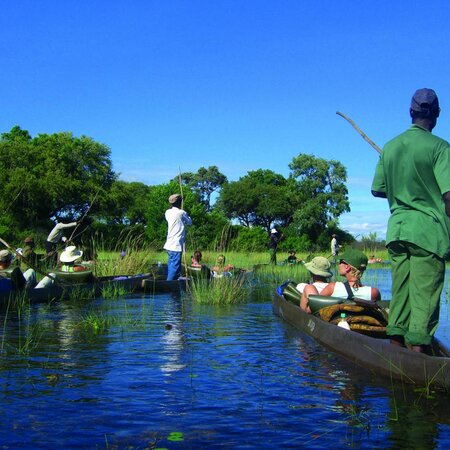 Beste Reisezeit Botswana: Trockenzeit, Flut und was das für die Pisten heißt