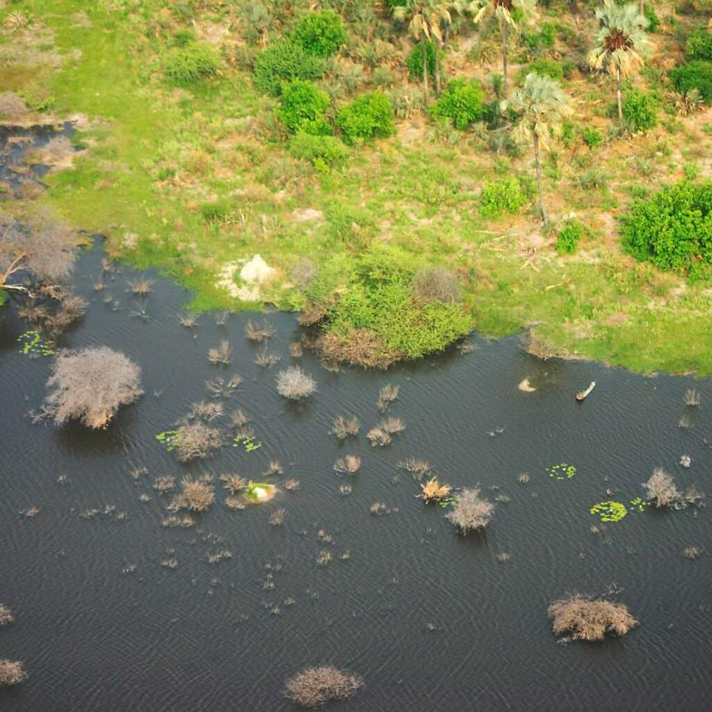 Okavango-Delta