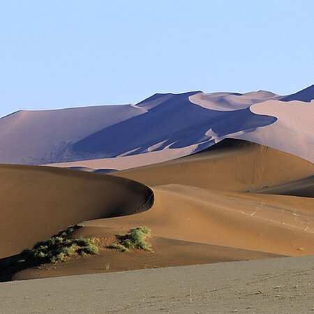 Circuit et safari en Namibie : désert, Etosha & Sossusvlei
