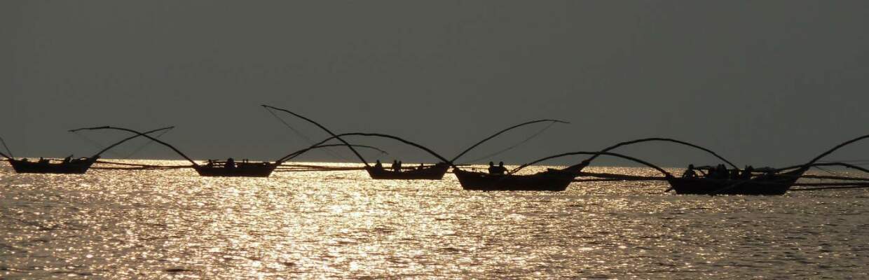 Erlebnis-Reisen Uganda, Bwindi Nationalpark