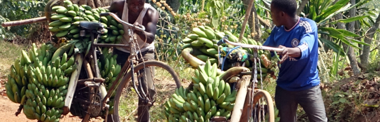 Erlebnis-Reisen Uganda, Murchison Falls Nationalpark