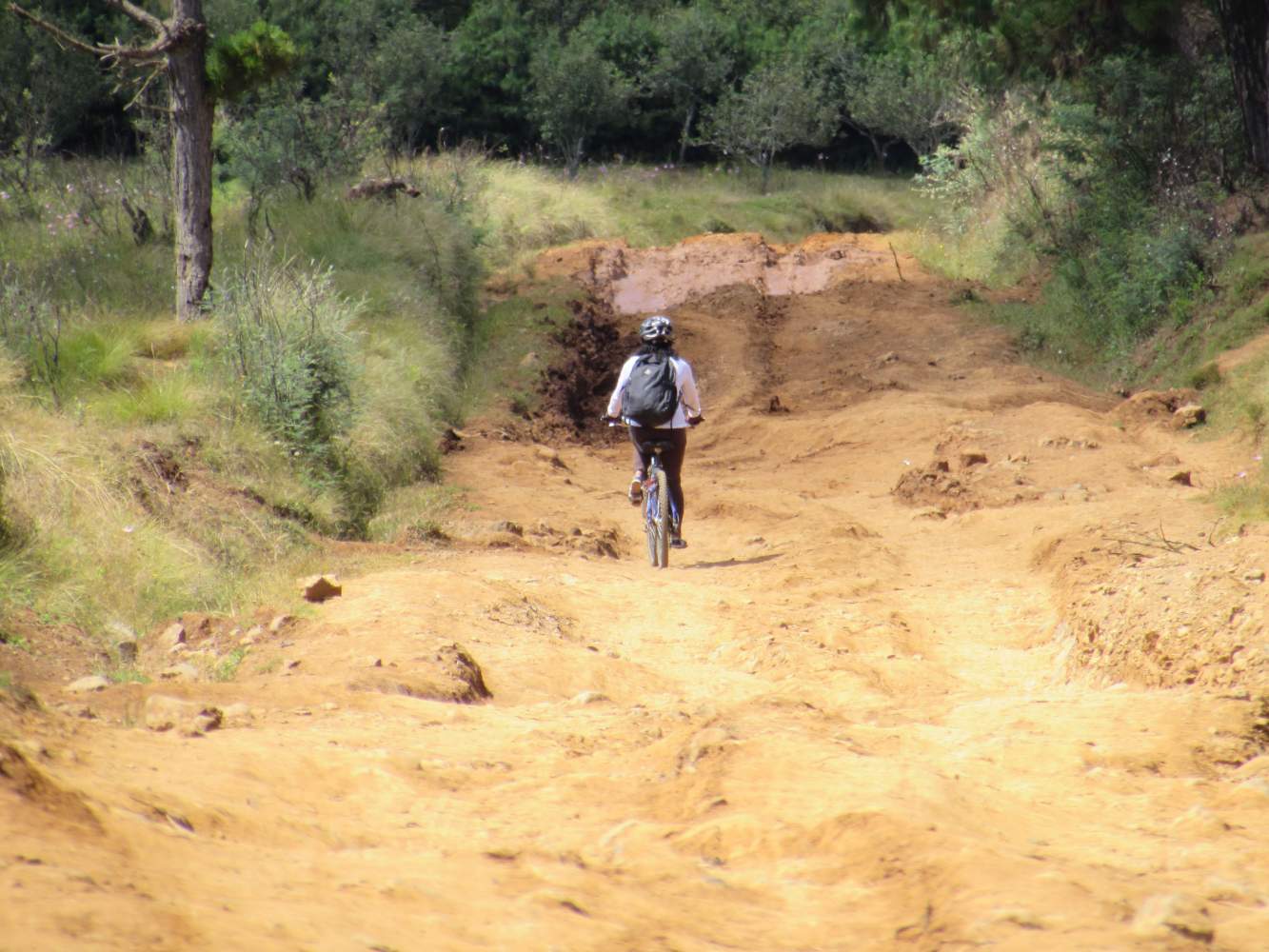 Madagascar: Adventure Travels in Dreamlike Natural Diversity