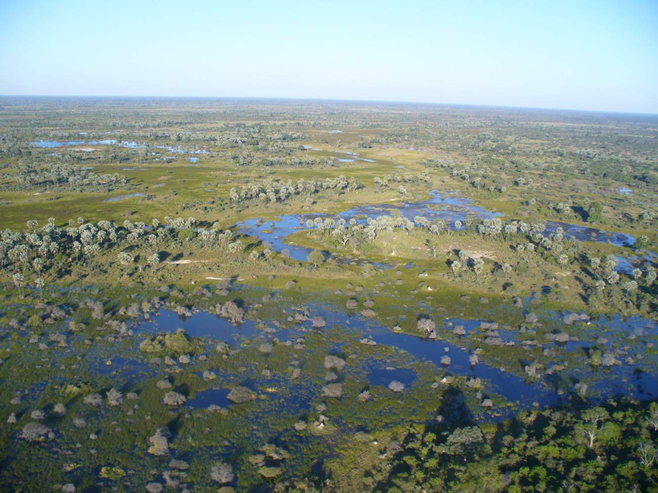 Rundflug über dem Okavango Delta in Botswana