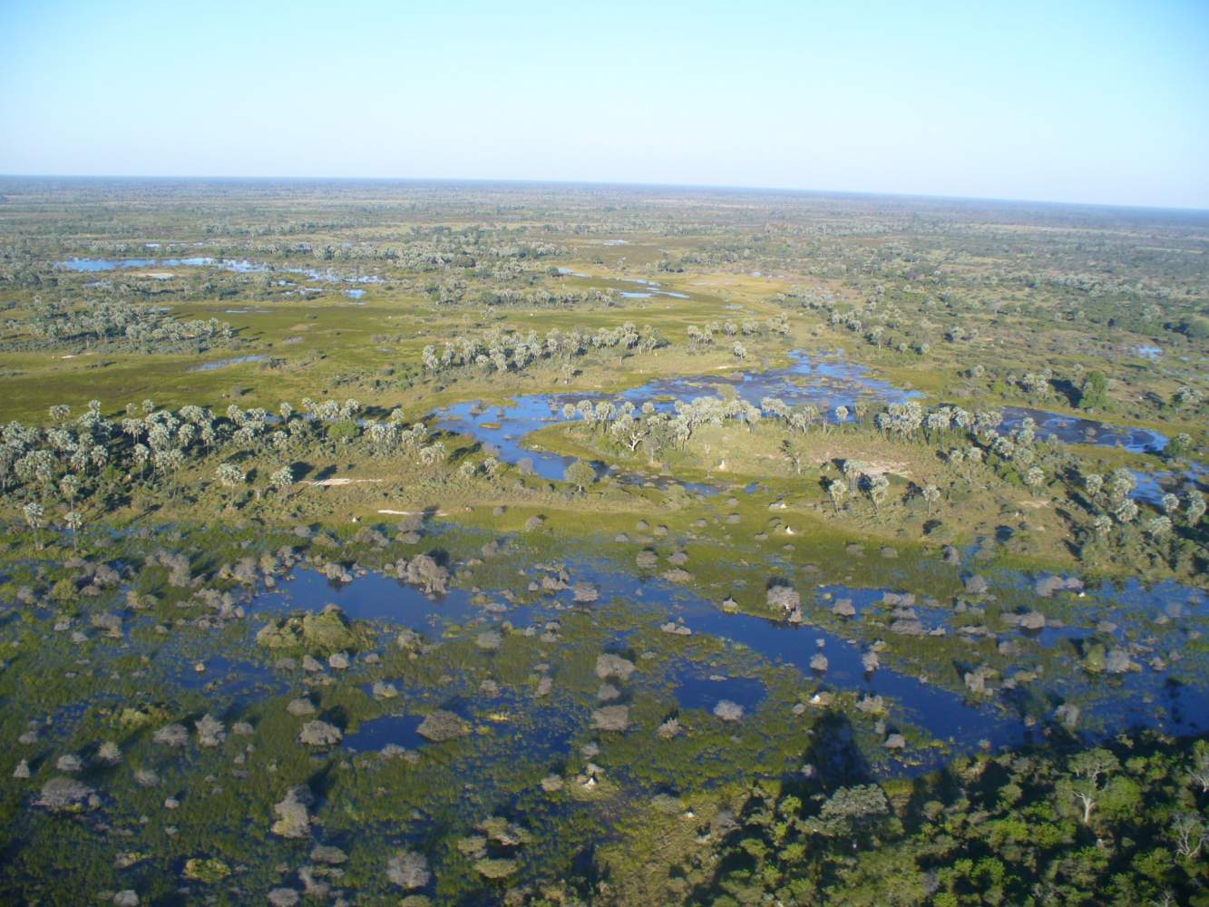 Rundflug über dem Okavango Delta in Botswana