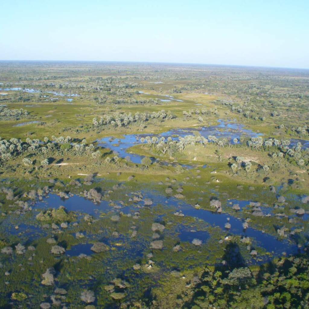 Okavango-Delta