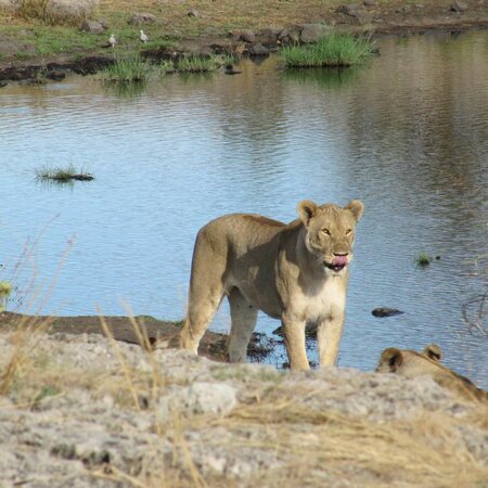 Namibia