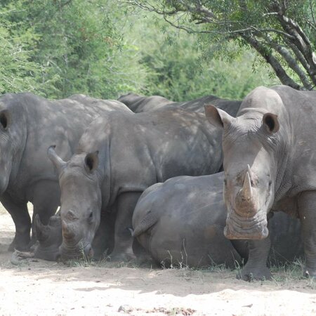 Voyages d'expérience en Afrique du Sud : découvrir safari, circuit et culture