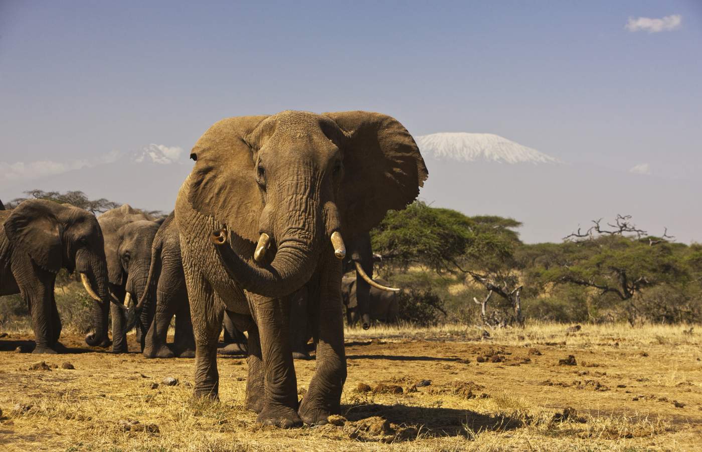 Trans-Africa Tour from Kenya to Egypt