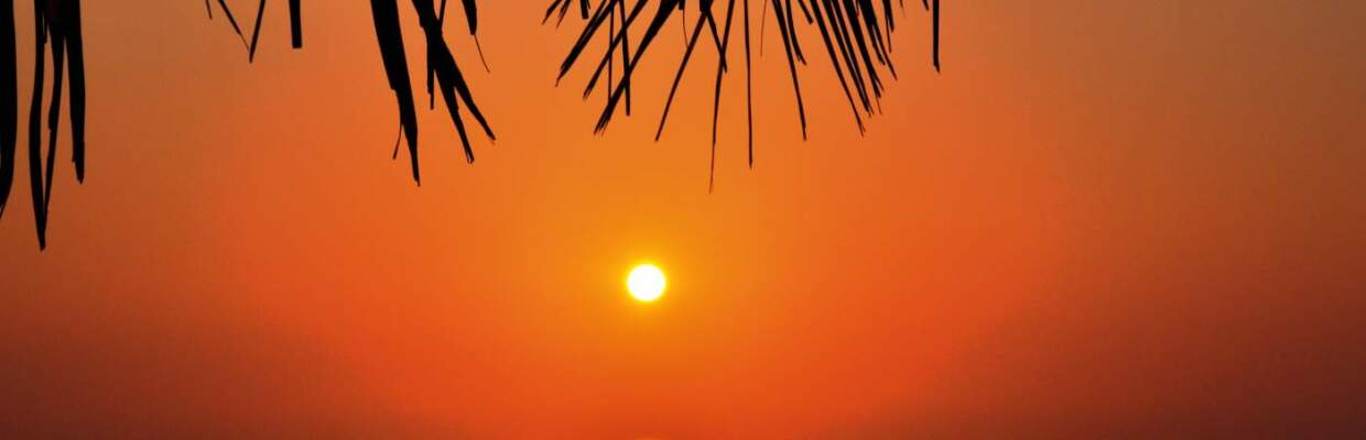 Erlebnis-Reisen Madagaskar, Regenwald, Madagaskar