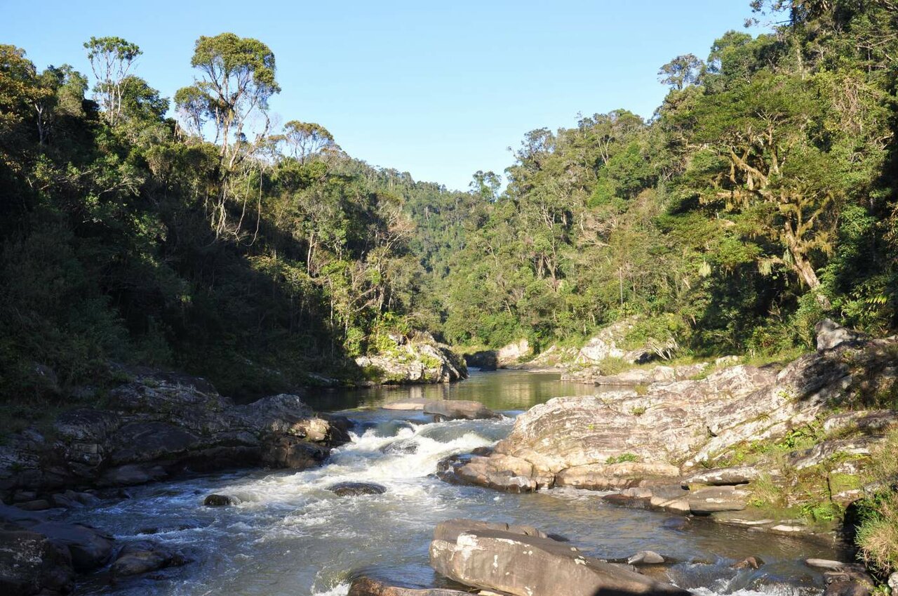 Um rio a fluir sobre rochas por um desfiladeiro florestado num parque nacional