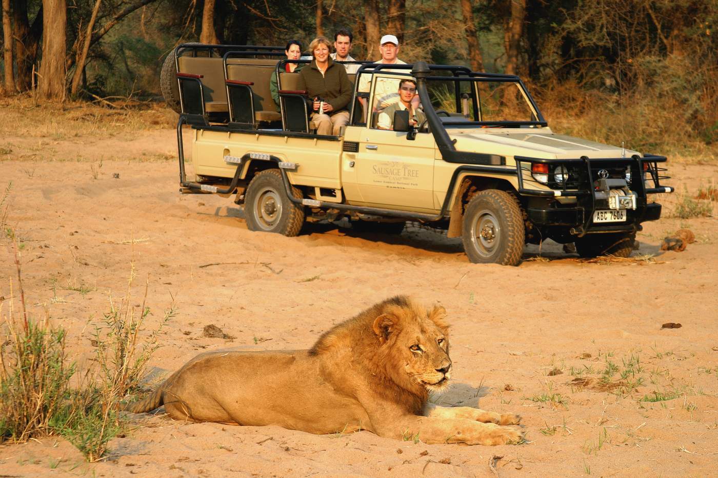 Sausage Tree Camp Safari, Afrika